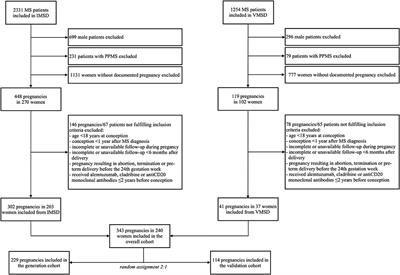 Estimating Risk of Multiple Sclerosis Disease Reactivation in Pregnancy and Postpartum: The VIPRiMS Score